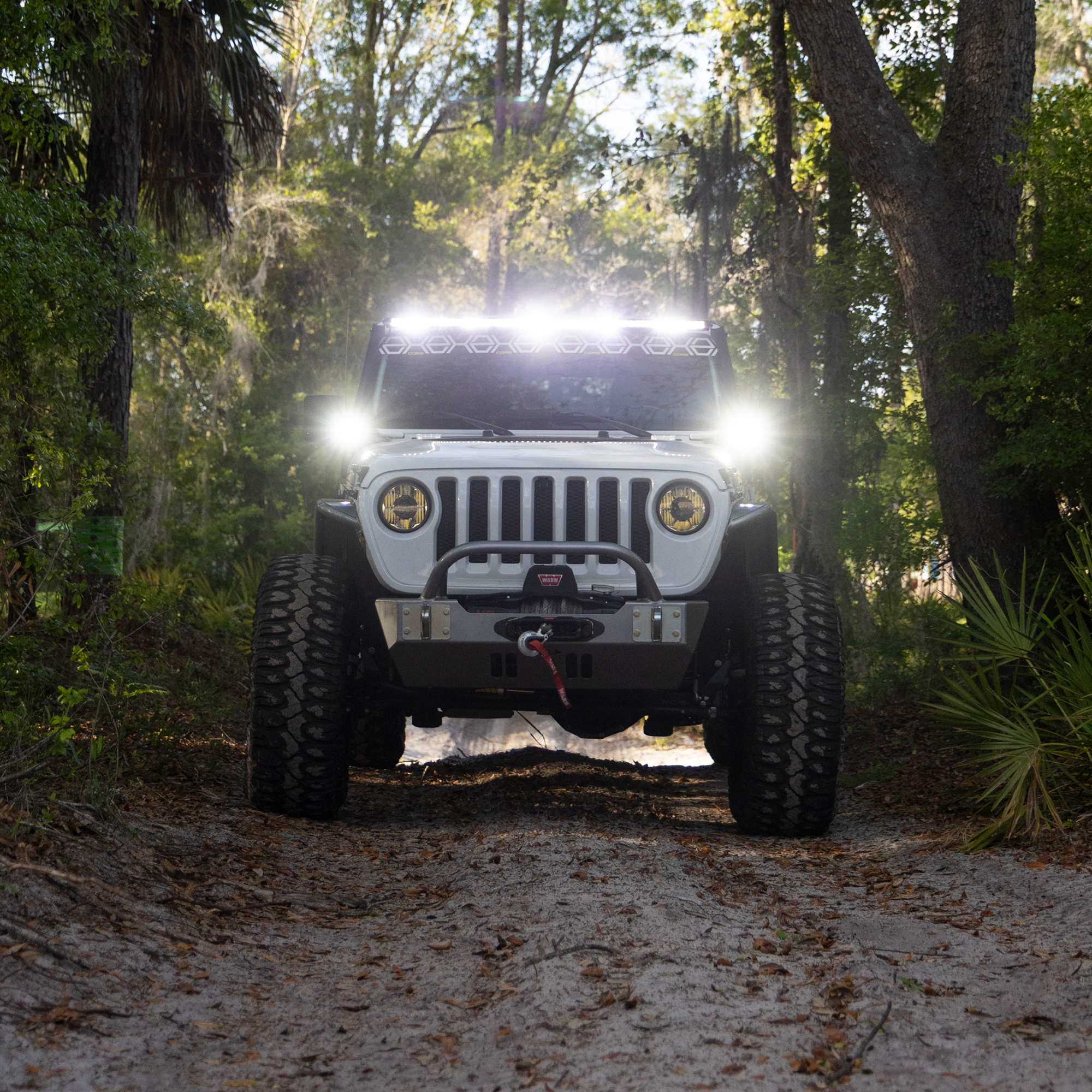 Jeep on a dirt road with trees in the background