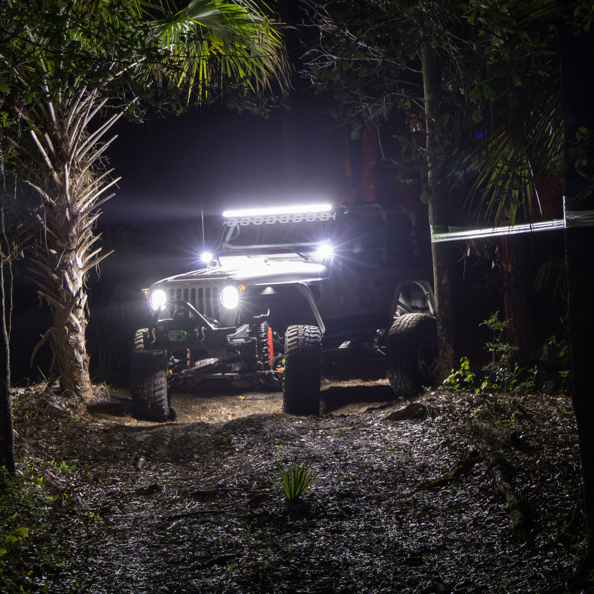 Off-road vehicle with large lights navigating a dark, forested area.