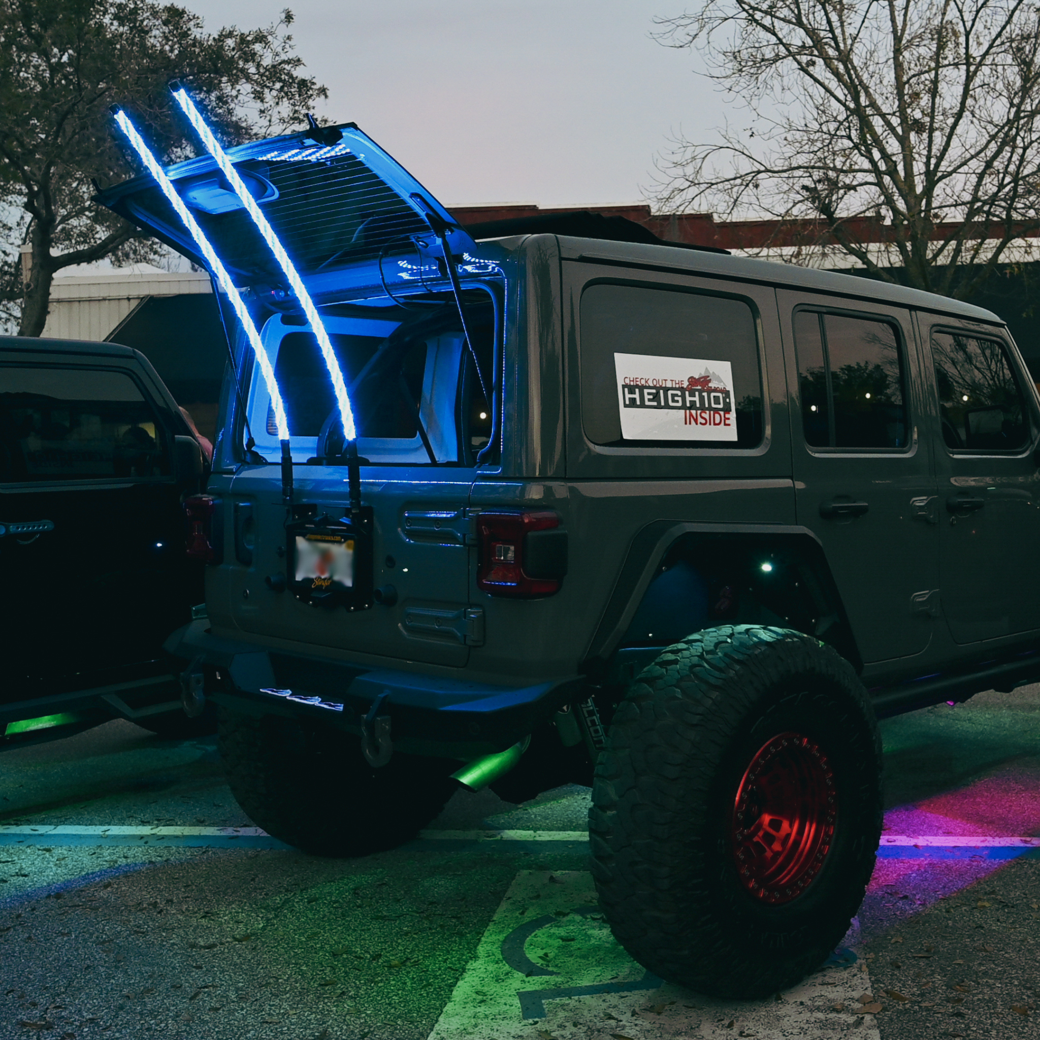 Stinger 4ft Dynamic LED RGB Whip Light w/Bluetooth Controller & Mounting System - ENLIGHT10 App Compatible