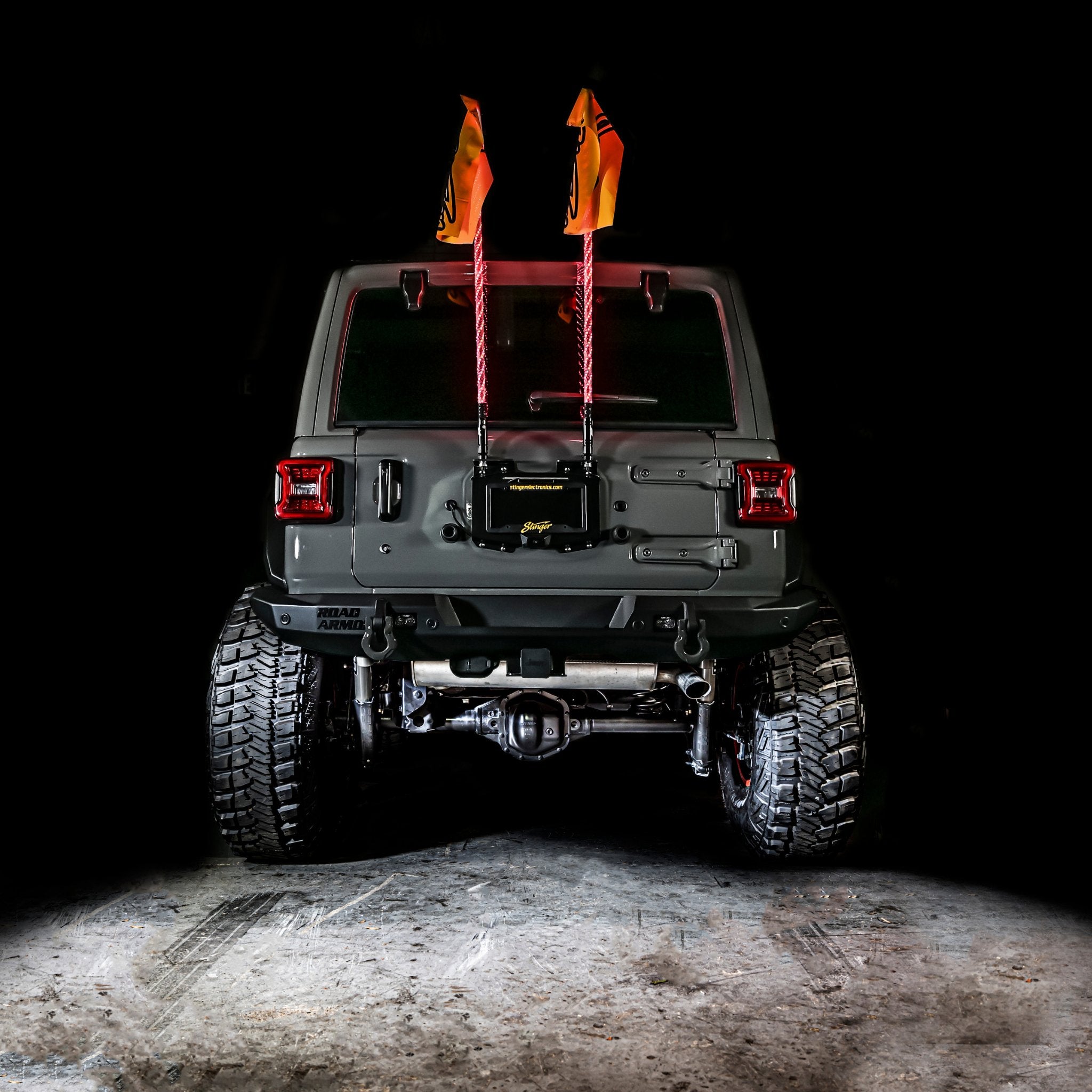 ENLIGHT10 4ft Dynamic RGB Whip Light